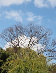 今日の空
