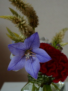 残り物で台所をあかるく