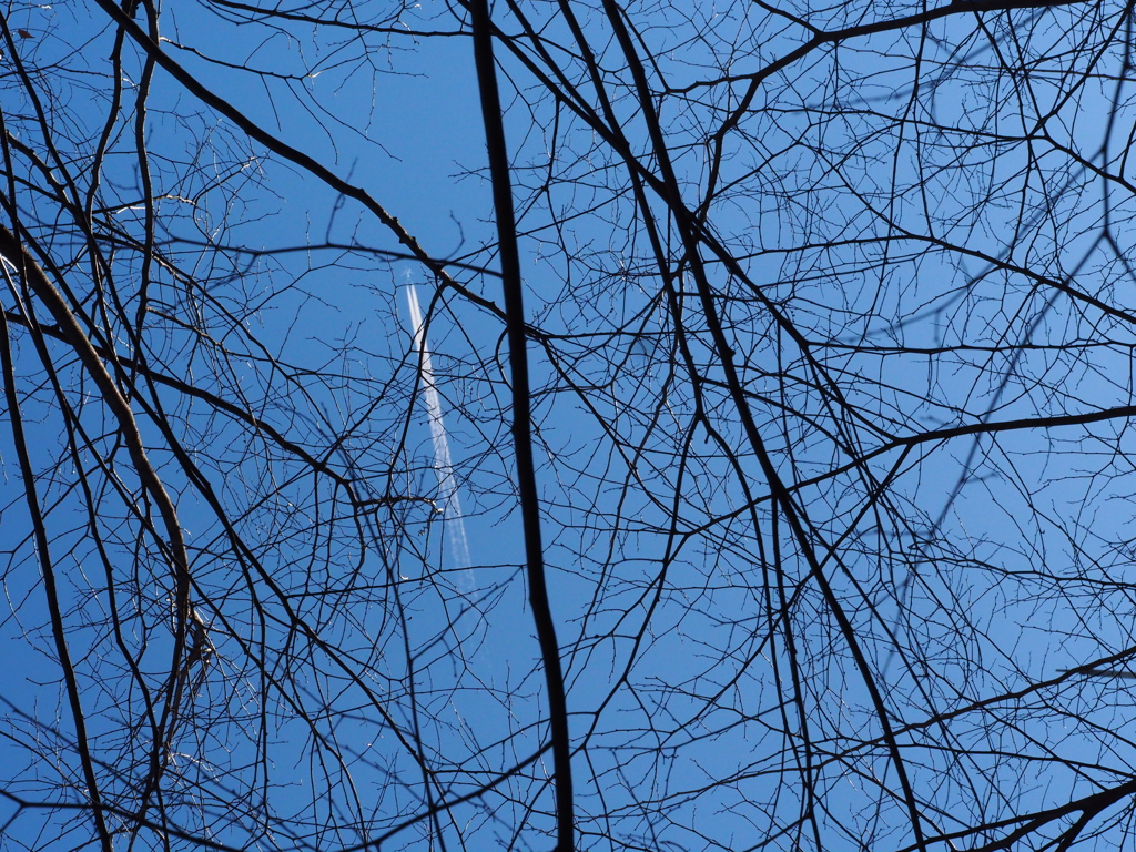 青い空に飛行機雲