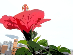 アートフィルターで（１）
