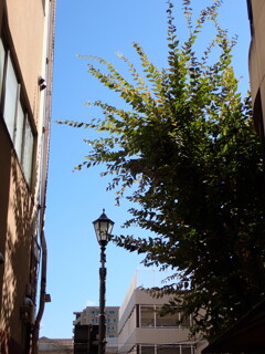 街中の青空