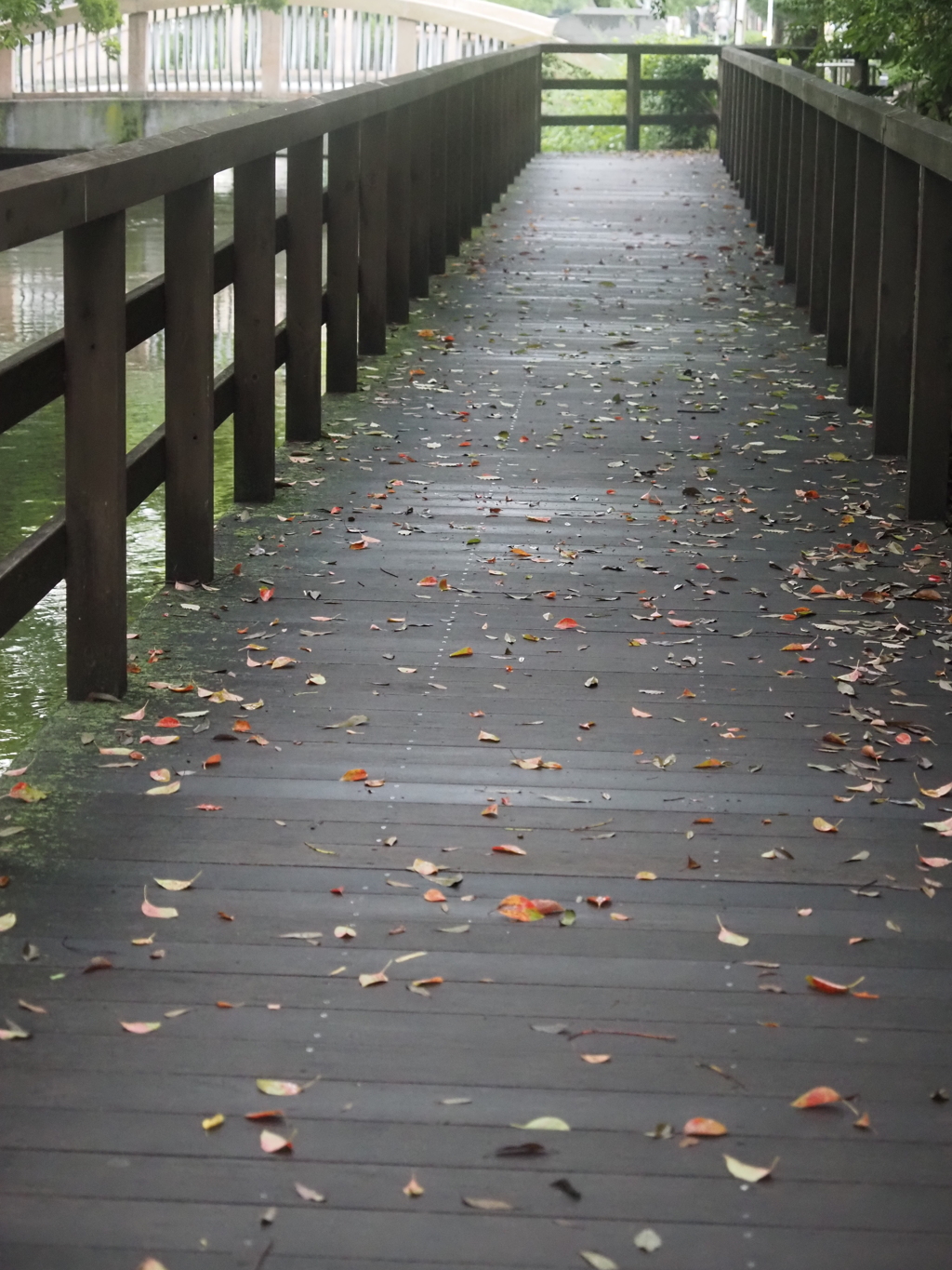 用水路の木の橋