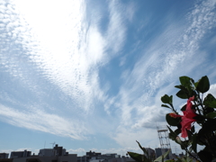 秋めいてきた空