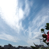 秋めいてきた空