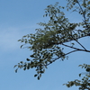 今日の空