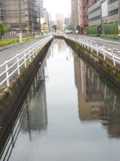 朝の水路沿い