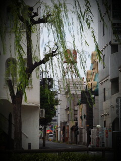 朝の繁華街