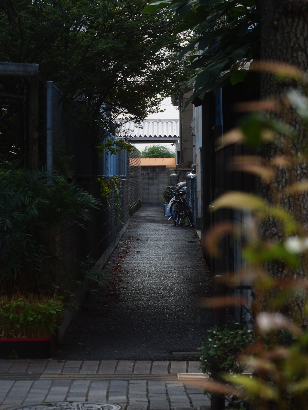 路地