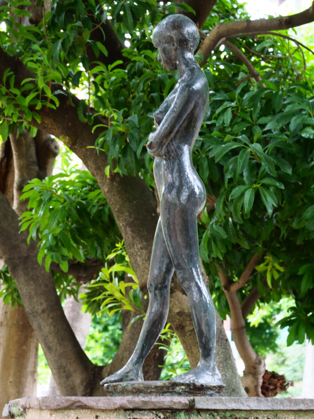 公園で