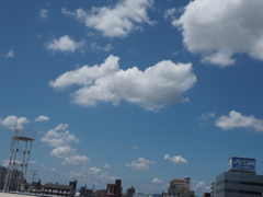 夏空