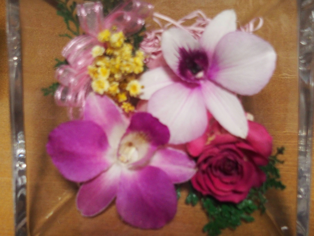 閉じ込められた花