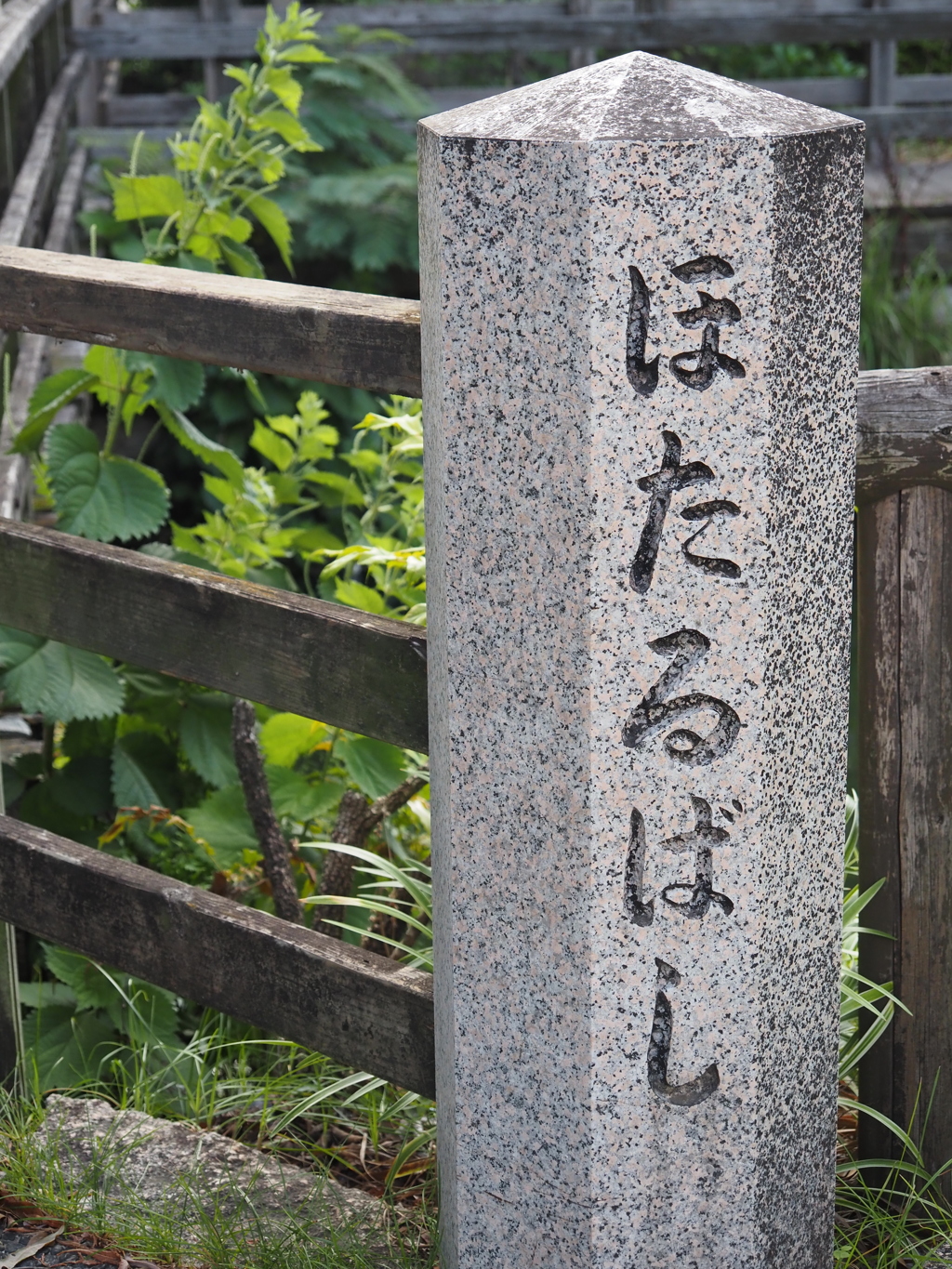 水路沿いにて