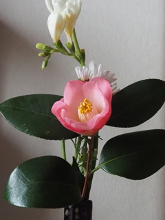 切り花開花