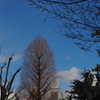 冬景色