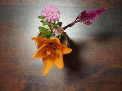 短くなった花をまとめてみました、