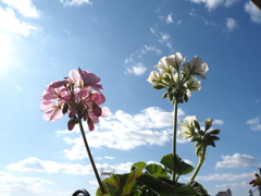 青空
