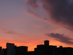 夕焼け