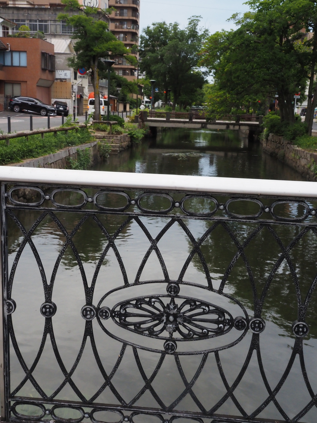 朝の水路
