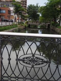 朝の水路