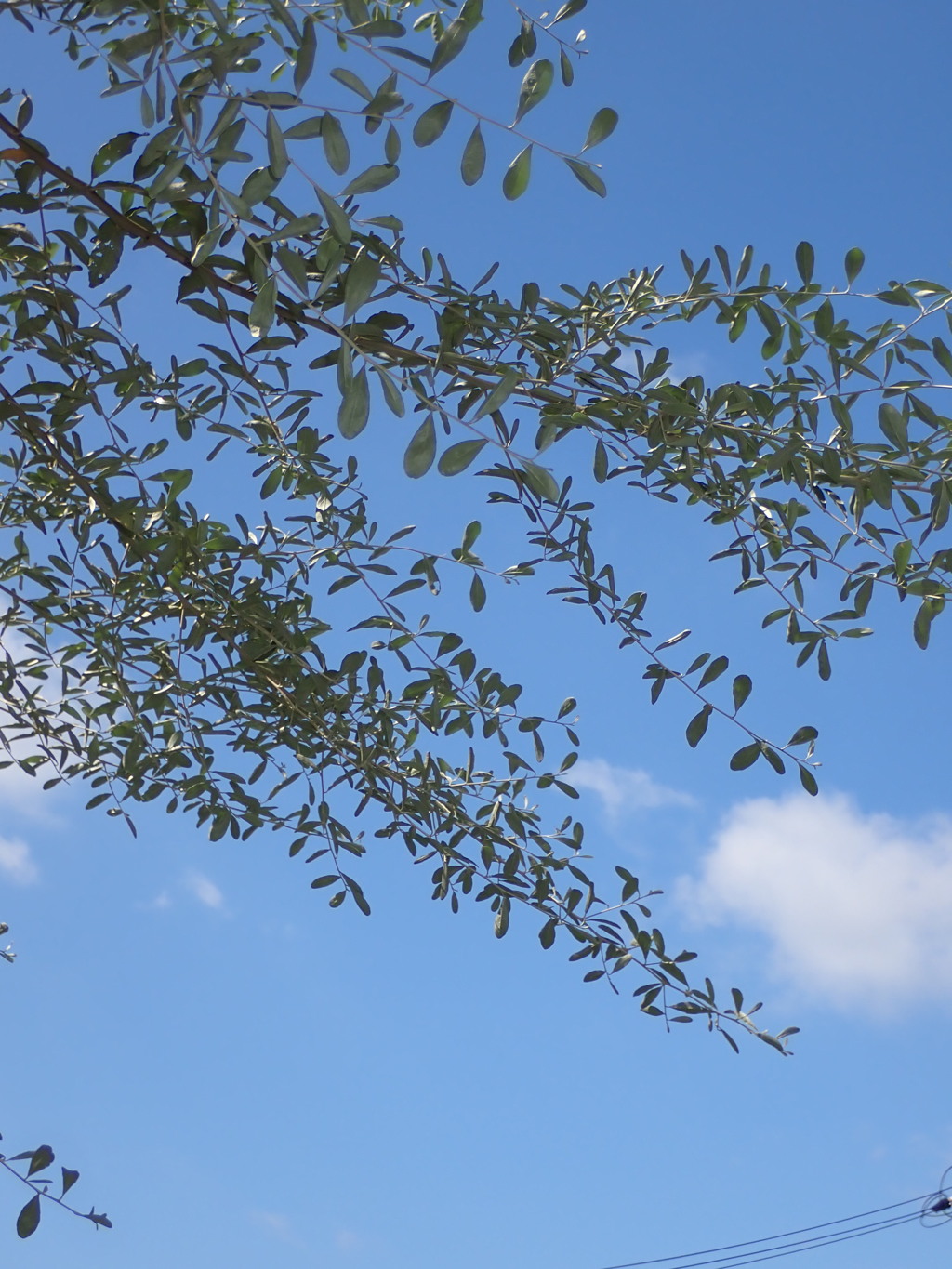 青空