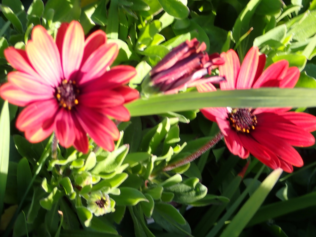 陽だまりで　１