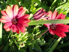 陽だまりで　１