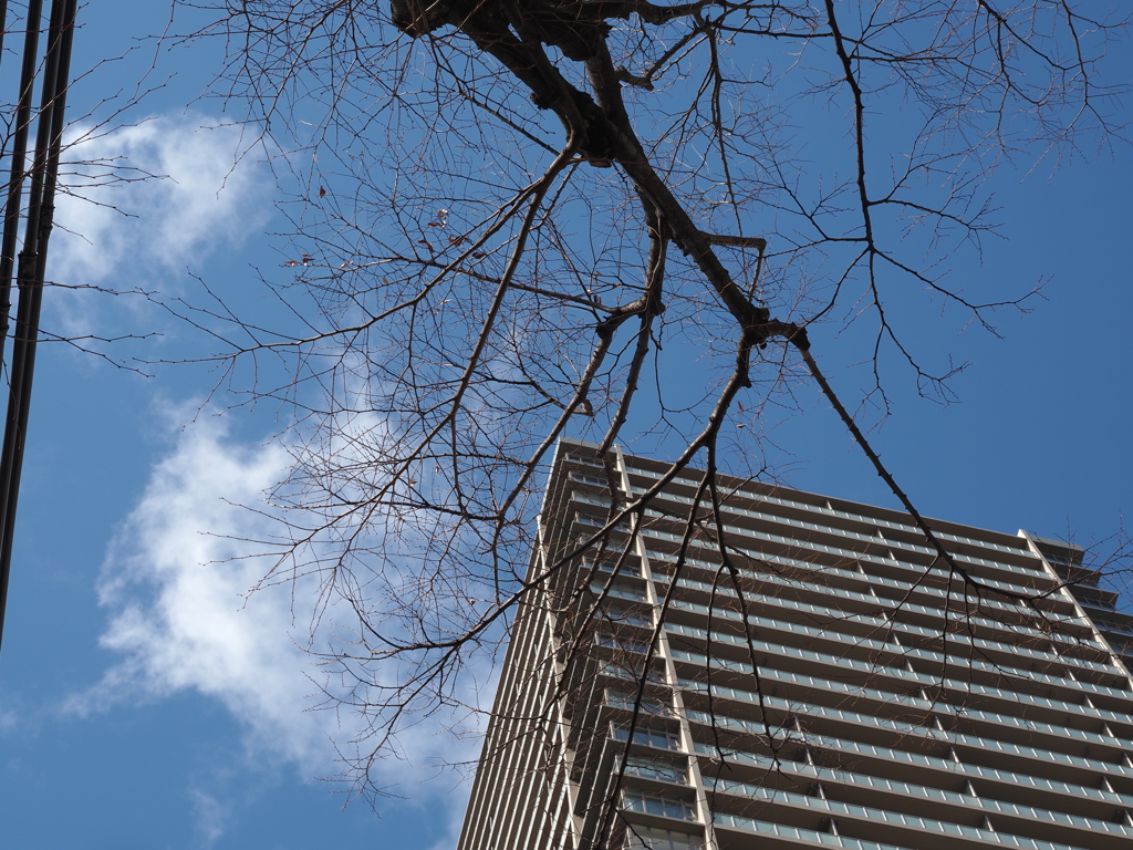 青空と建物