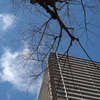 青空と建物
