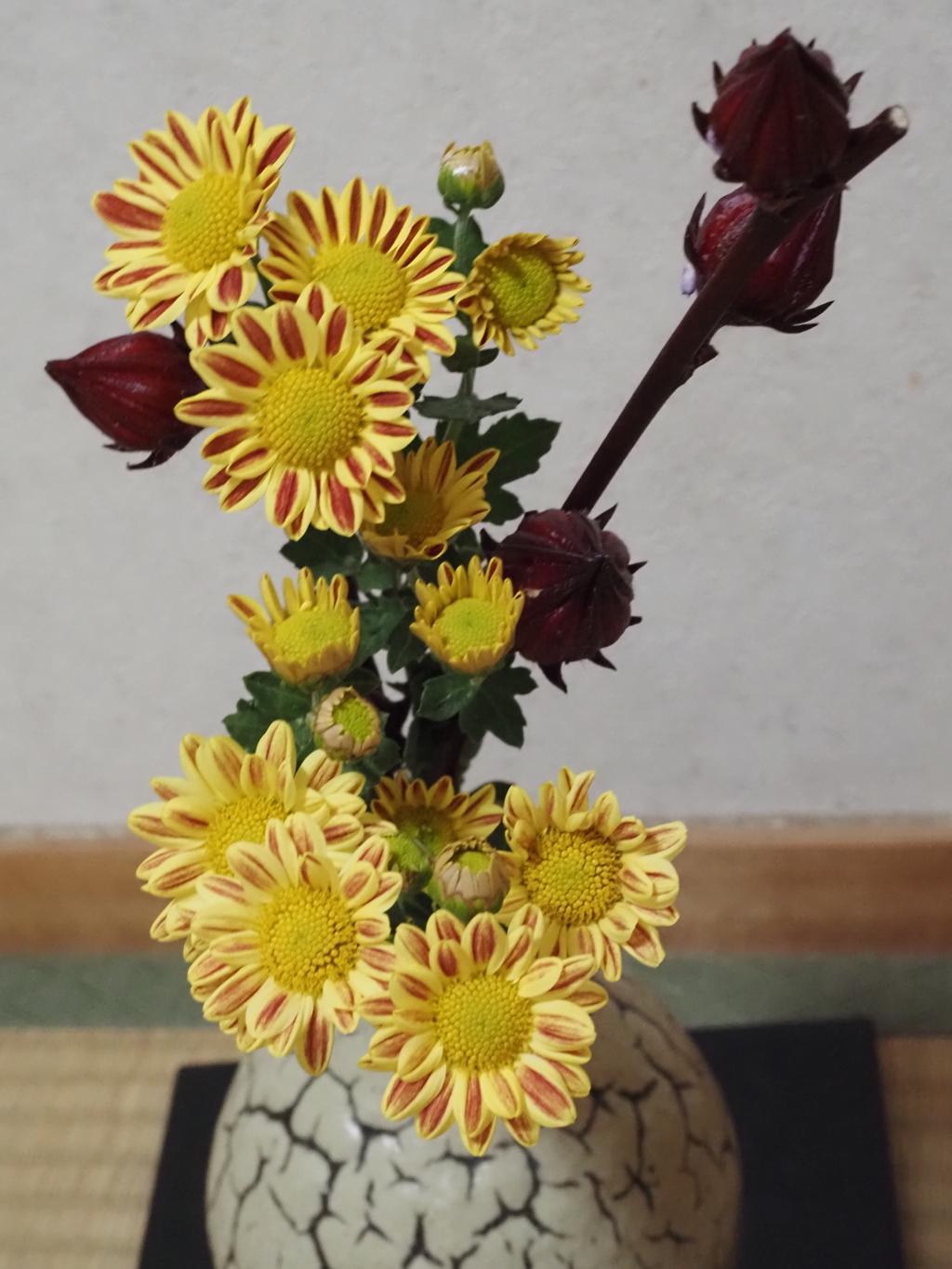 切り花　２