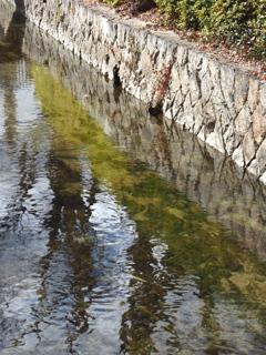 穏やかな川岸