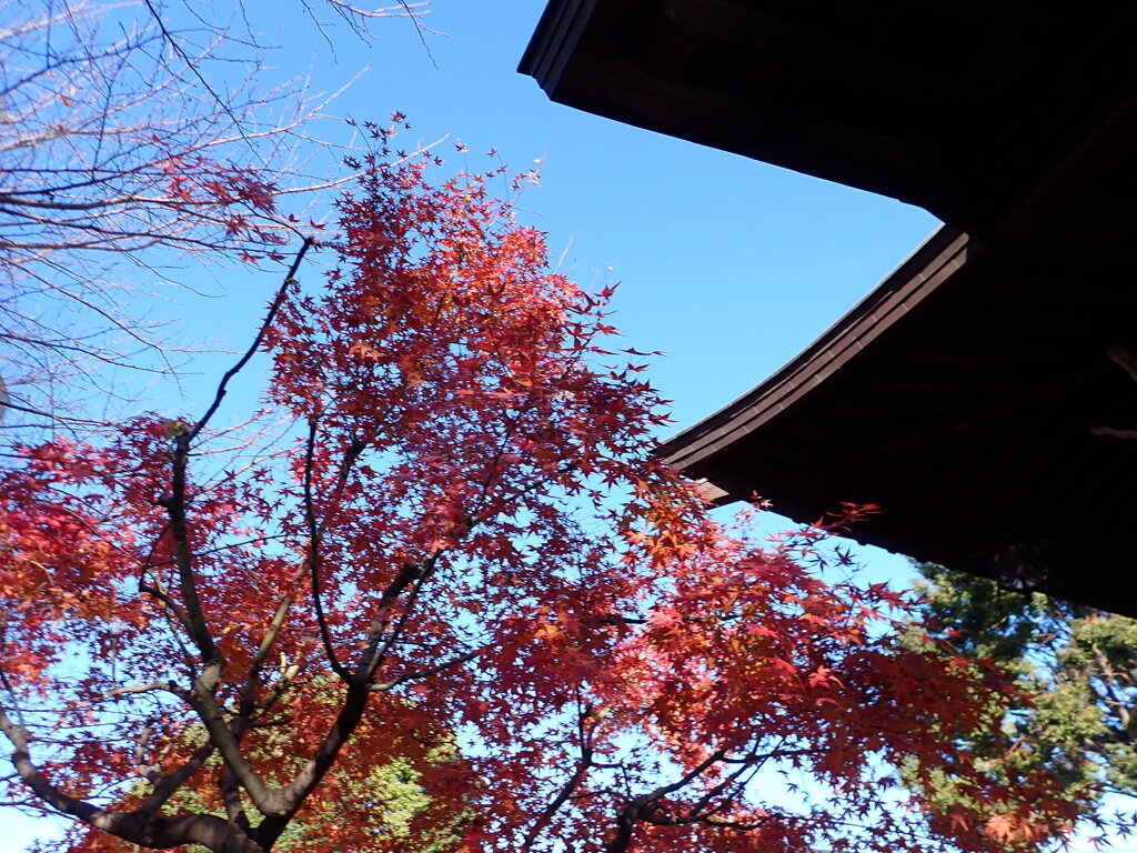 近くの神社