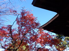 近くの神社