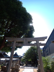 氏神様の朝