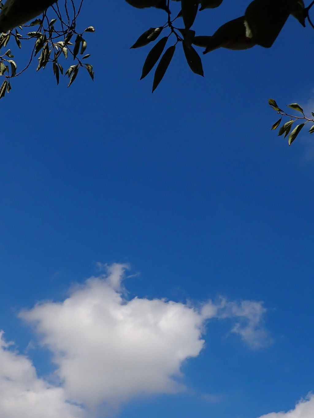 空を見上げる