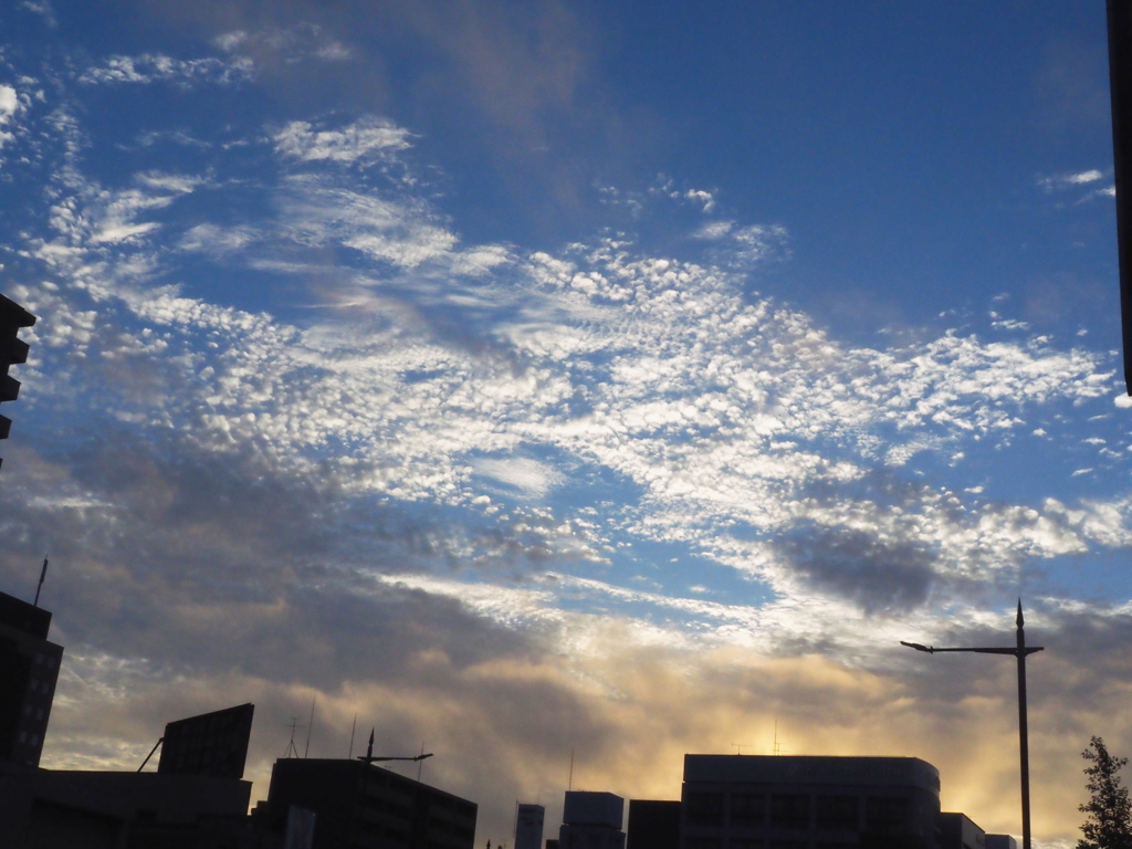 今朝の空