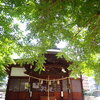 青葉と神社