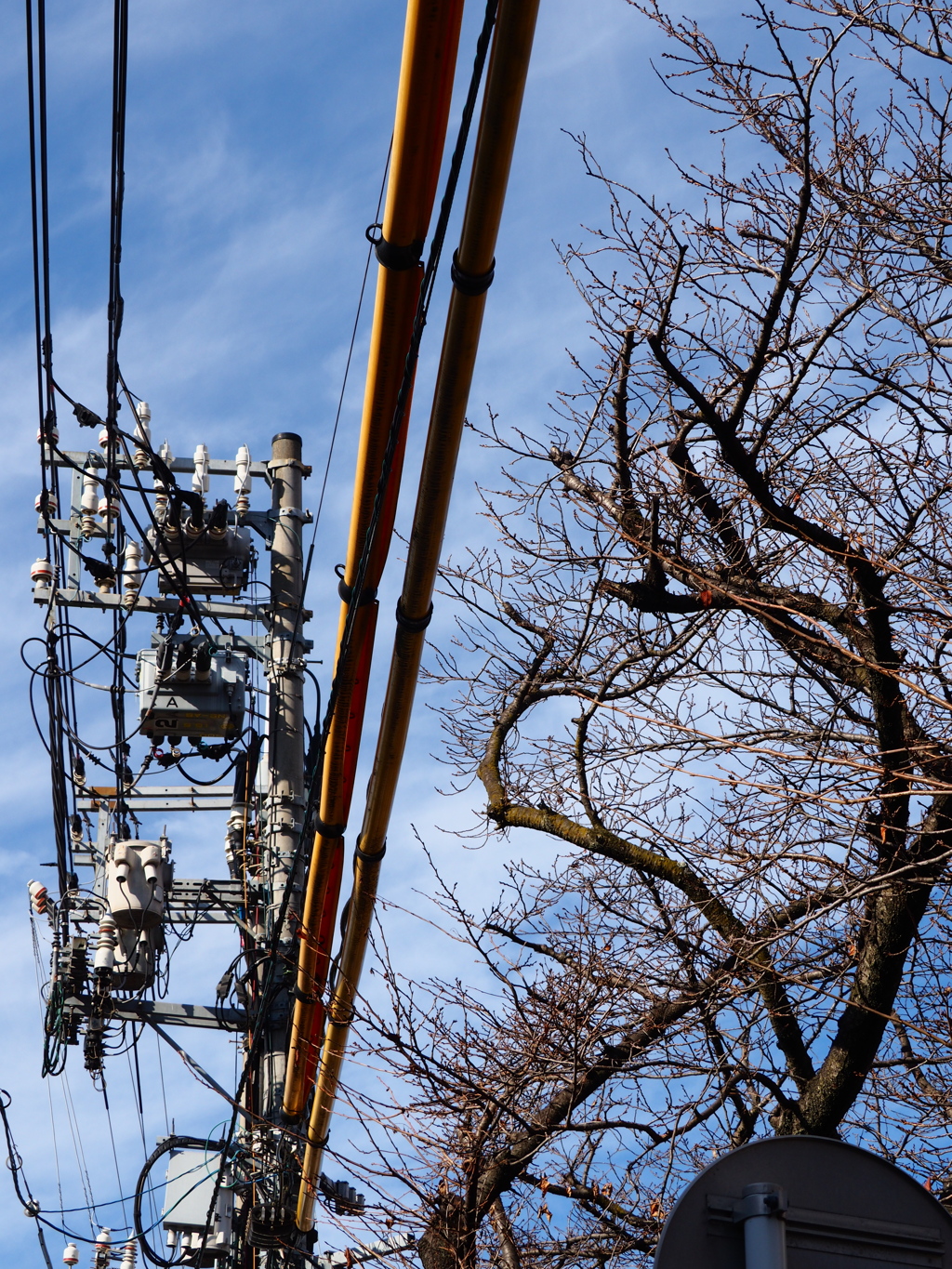 桜と電柱と空