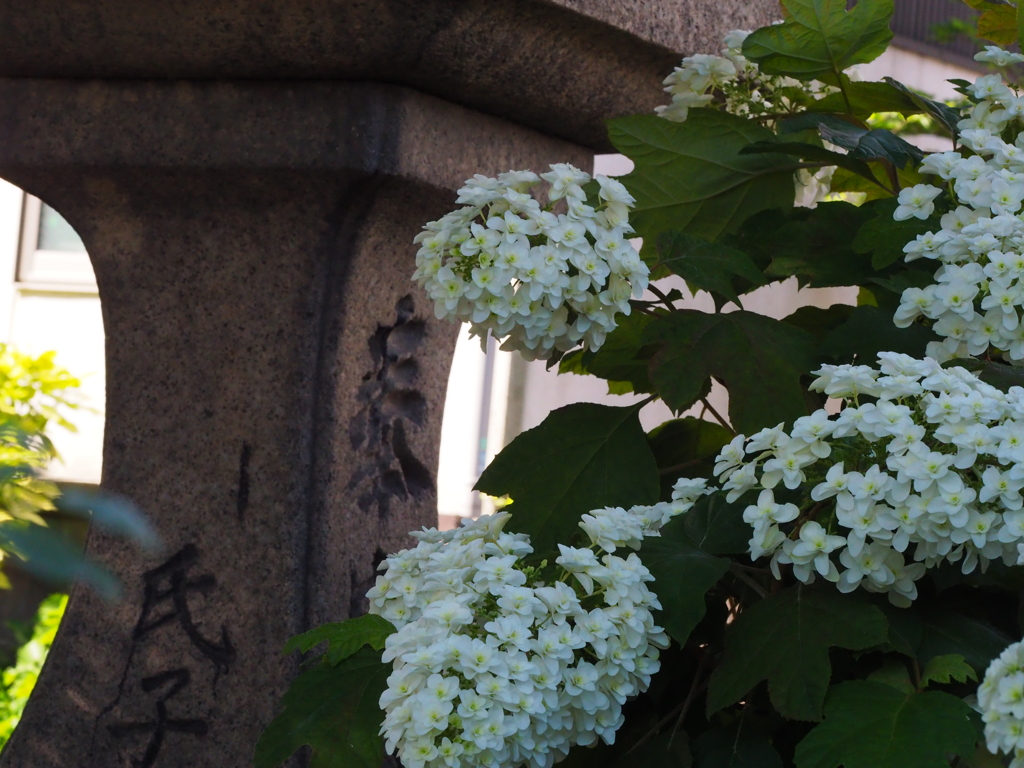 神社にて