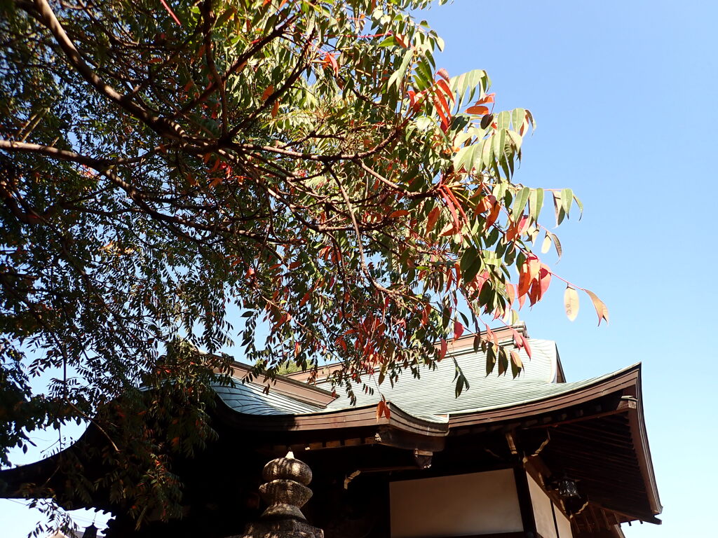 社殿の前の紅葉