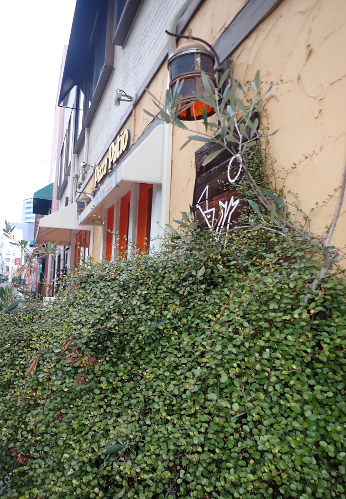おしゃれなお店