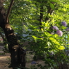 朝日が差し込む