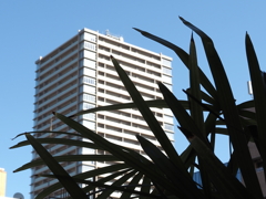 ビルと青空
