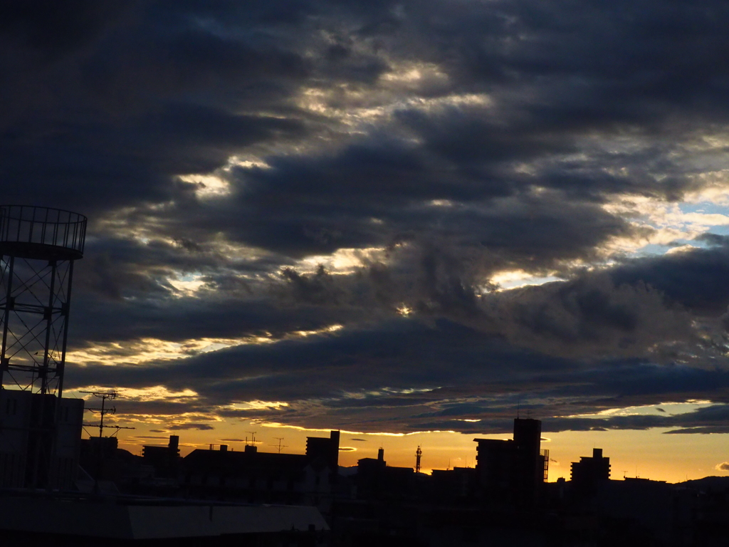 雨の後晴れてきました