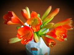 切り花：咲きました