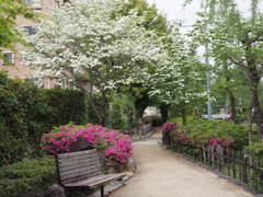 花盛り