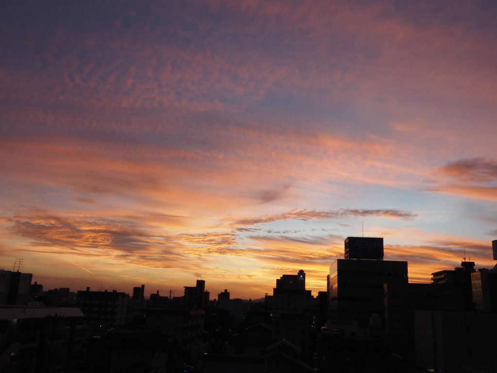 夕景