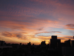 夕景