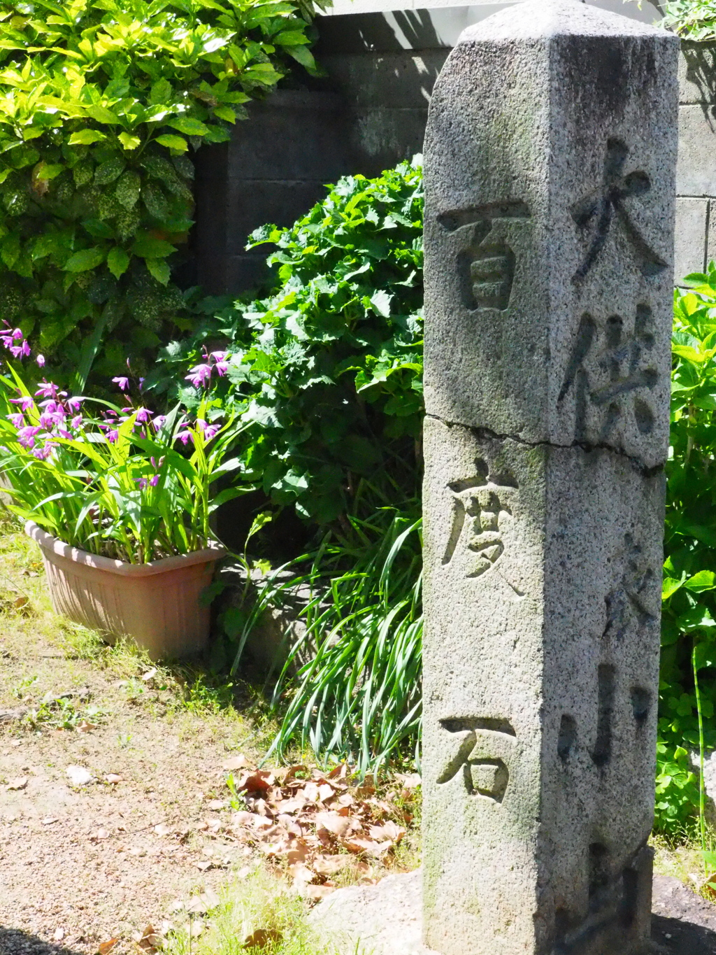 百度石