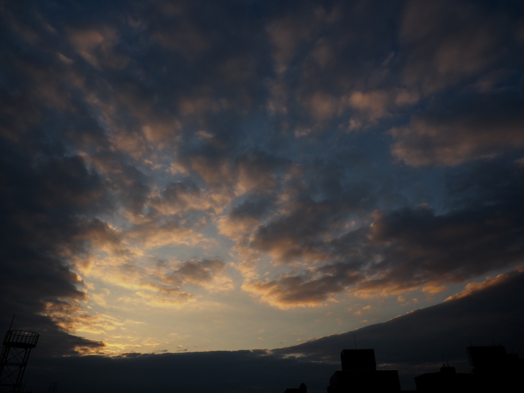今日の夕景