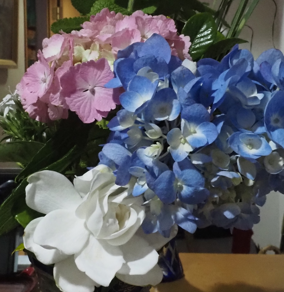 切り花のてんこ盛り